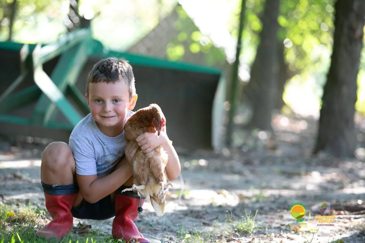 Séjour à la ferme Agriturismo Ai Carpini Marcon